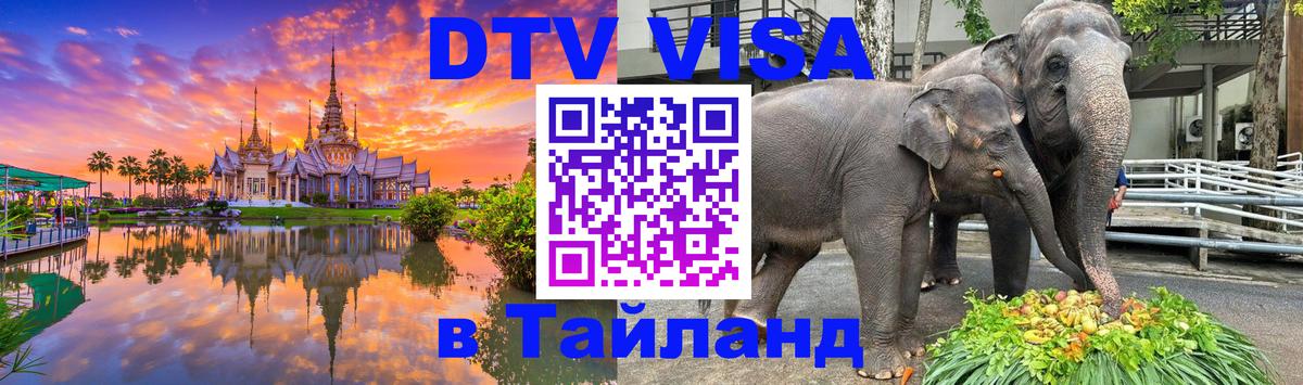 Цены на DTV визу в Таиланд — пакеты услуг, достаточно даже паспорта - 06.12.2025 